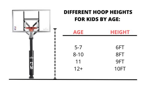 basketball ring height in feet